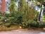 Immagine 28