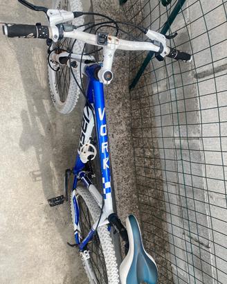 Bicicletta