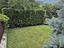 Immagine 19