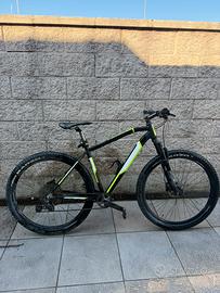Bici mountain bike graal
