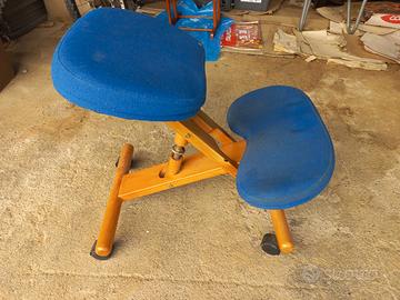 Sedia ergonomica