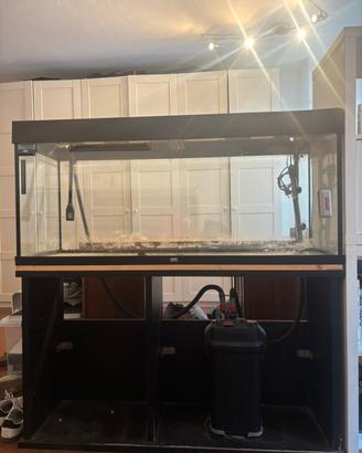 ACQUARIO JUWEL RIO 240L + FILTRO ESTERNO OMAGGIO