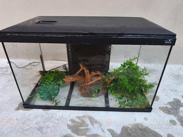 acquario completo perfettamente funzionante 