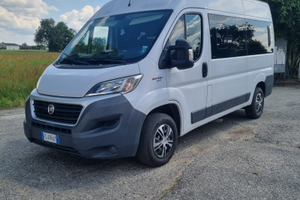 Fiat ducato 9 posti 2.3 ecojet