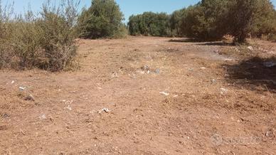 Terreno agricolo Vittoria