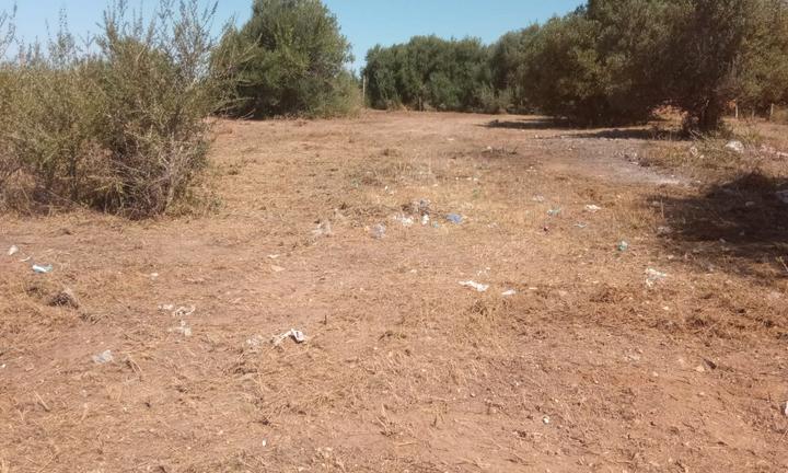 Terreno agricolo Vittoria