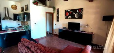 Camaiore, appartamento come nuovo arredato