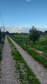 Tra bagheria e ficarazzi