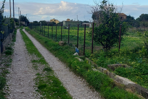 Tra bagheria e ficarazzi