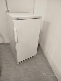 congelatore verticale