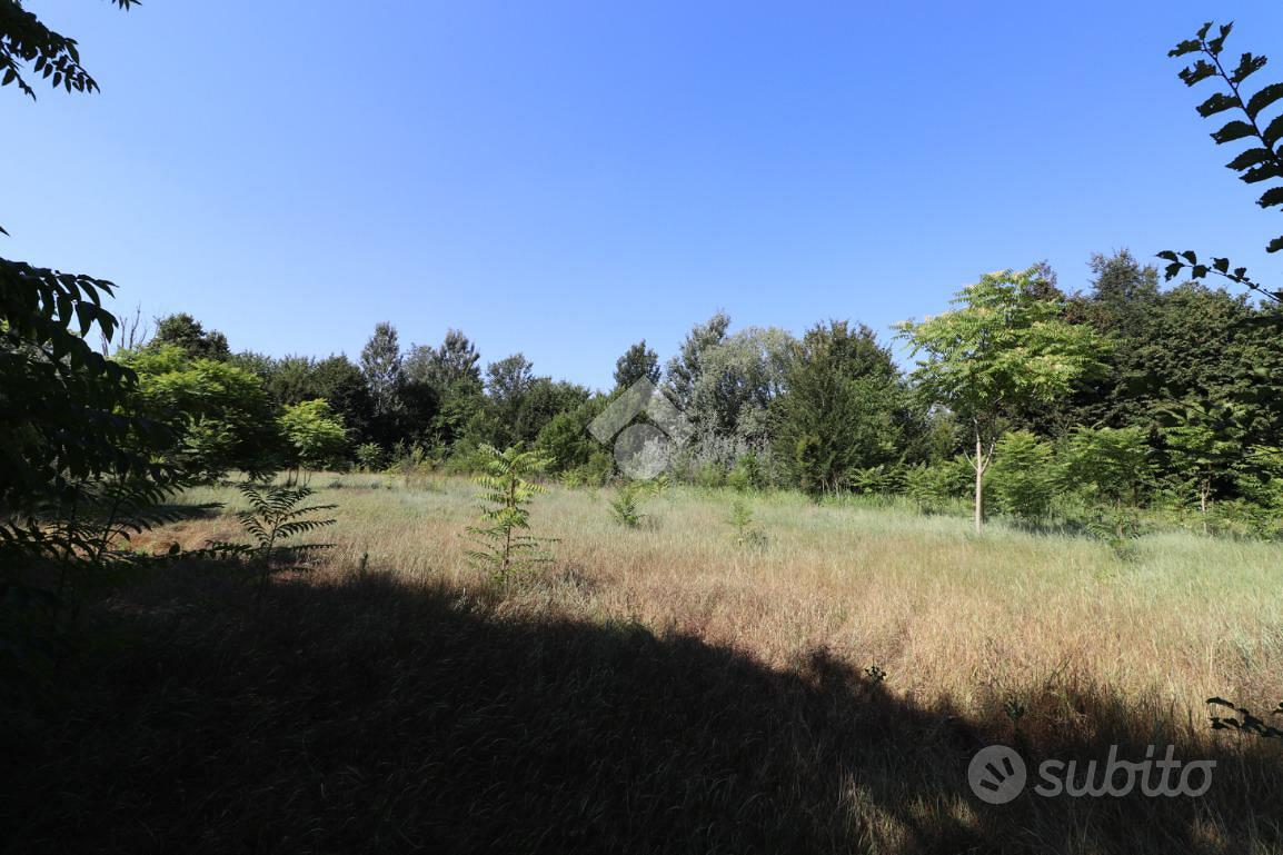 TER. RESIDENZIALE A MARMIROLO - Vista 4