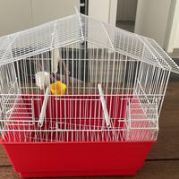 Gabbietta canarini nuova 39x22cm