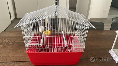 Gabbietta canarini nuova 39x22cm