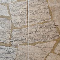 Asta olio motore Peugeot/ Citroen 1.6 hdi