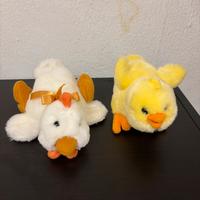 Pulcino trudi e gallina