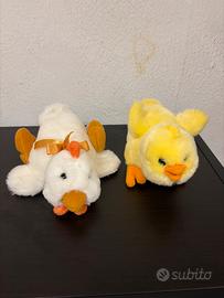 Pulcino trudi e gallina