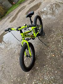 Bici ragazzo 20 pollici