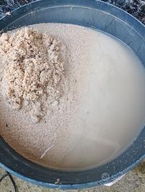 dsb sabbia aragonite acquario marino