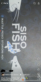 Pesci e piante per acquari laghi e laghetti