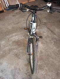 bici raggio 20