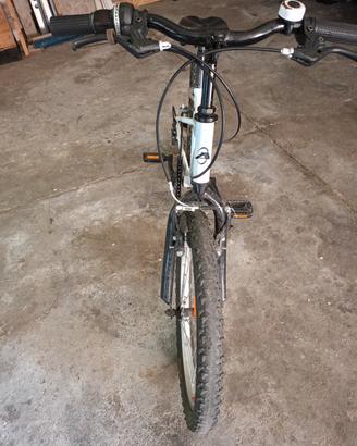 bici raggio 20
