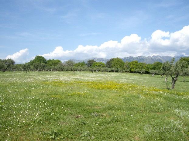 Casolare con vista panoramica - Altro