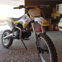 Pit bike profive 125