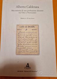 Microscopia di una professione docente tra otto e 