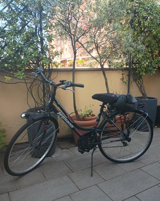 city bike donna nuova
