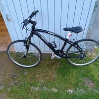 mtb da donna 21 velocità 