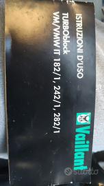 Schede elettroniche vaillant