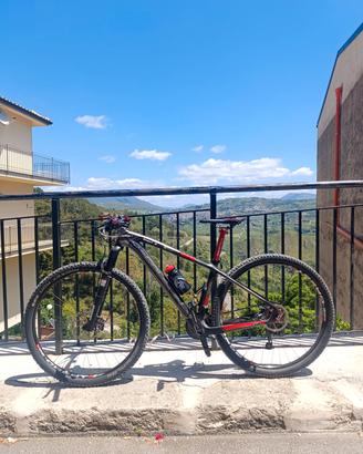 Mountain Bike lee cougan