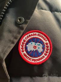 Smanicato Canada goose