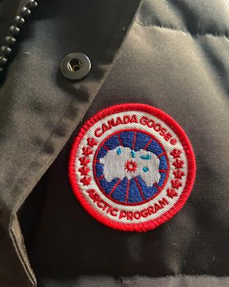 Smanicato Canada goose