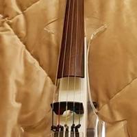 Violino Elettrico Aurora Classic 5 Corde