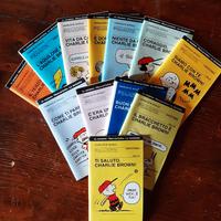 Raccolta fumetti "Peanuts"