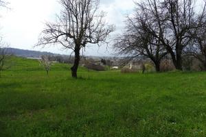 Terreno Agricolo Fara Vicentino