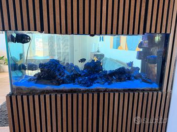 Acquario Marino 280L Premium - Sistema Completo