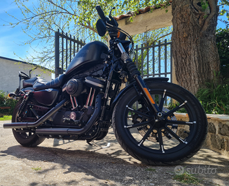 Harley Davidson 883 iron