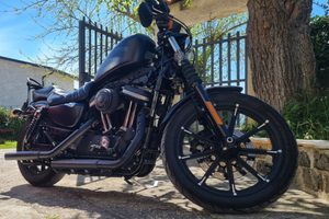 Harley Davidson 883 iron