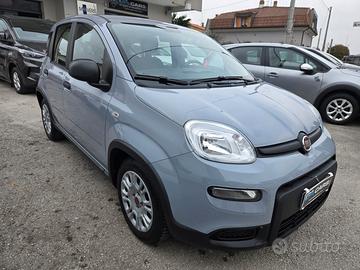 FIAT PANDA FIREFLY S&S 1.0 69 cv HYBRID -PROMO MAR