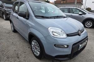 FIAT PANDA FIREFLY S&S 1.0 69 cv HYBRID -PROMO MAR