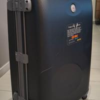 Set valigie rigide Jaguar vintage (4 pezzi)