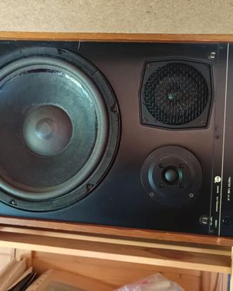 Coppia casse acustiche RCF BR55