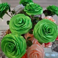 rose di raso ,