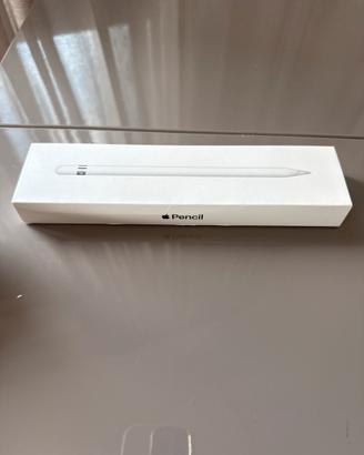 Penna ipad