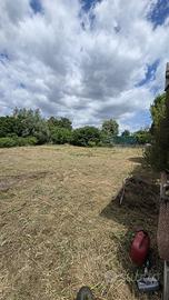 Terreno edificabile taglio di Donada