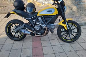 ducati scrambler 800