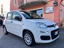 fiat-panda-1-2-easy-2020-5-posti-41000km