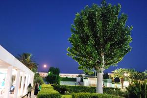 Appartamento villaggio metatur metaponto